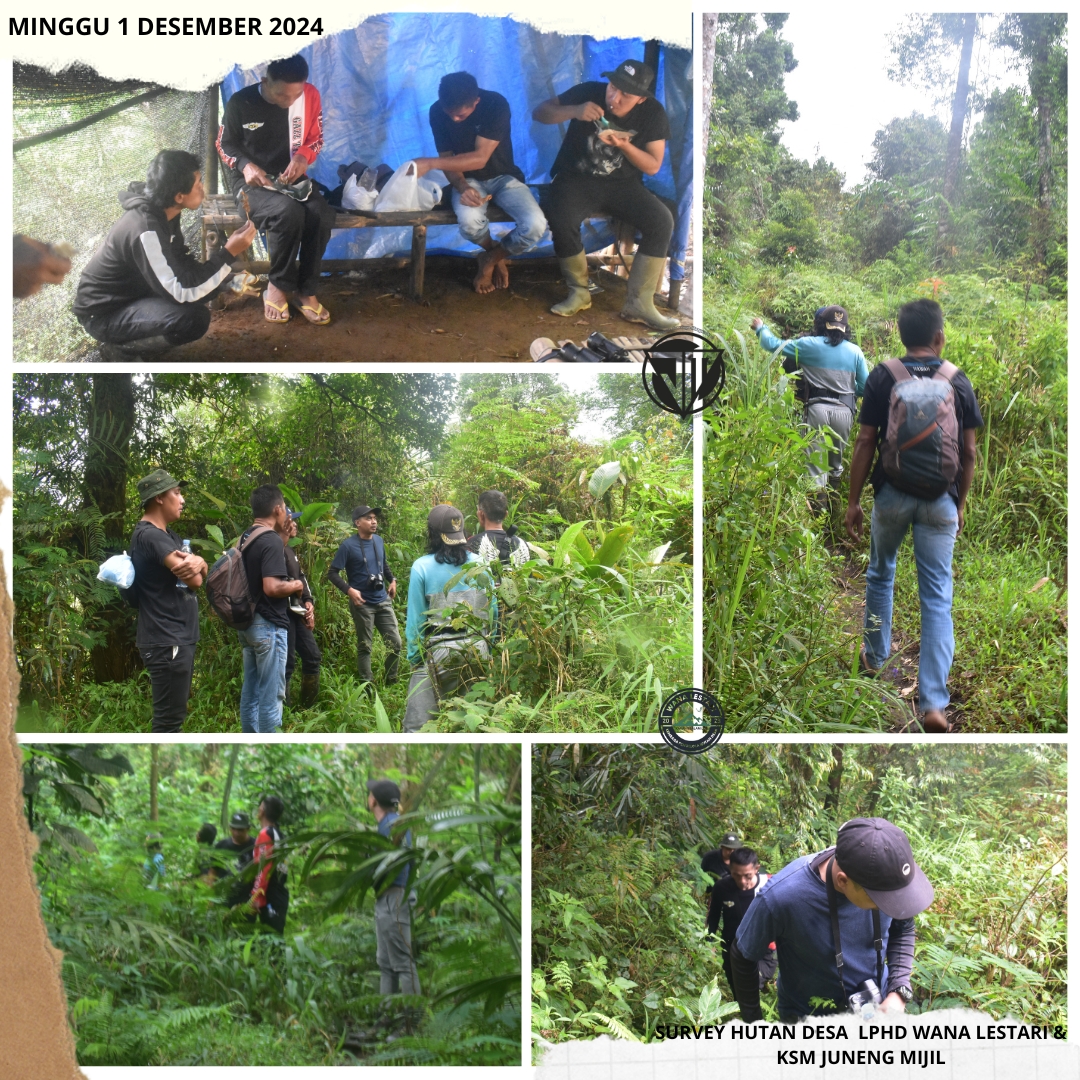Survey Hutan Desa Bersama LPHD Wana Lestari dan KSM Juneng Mijil