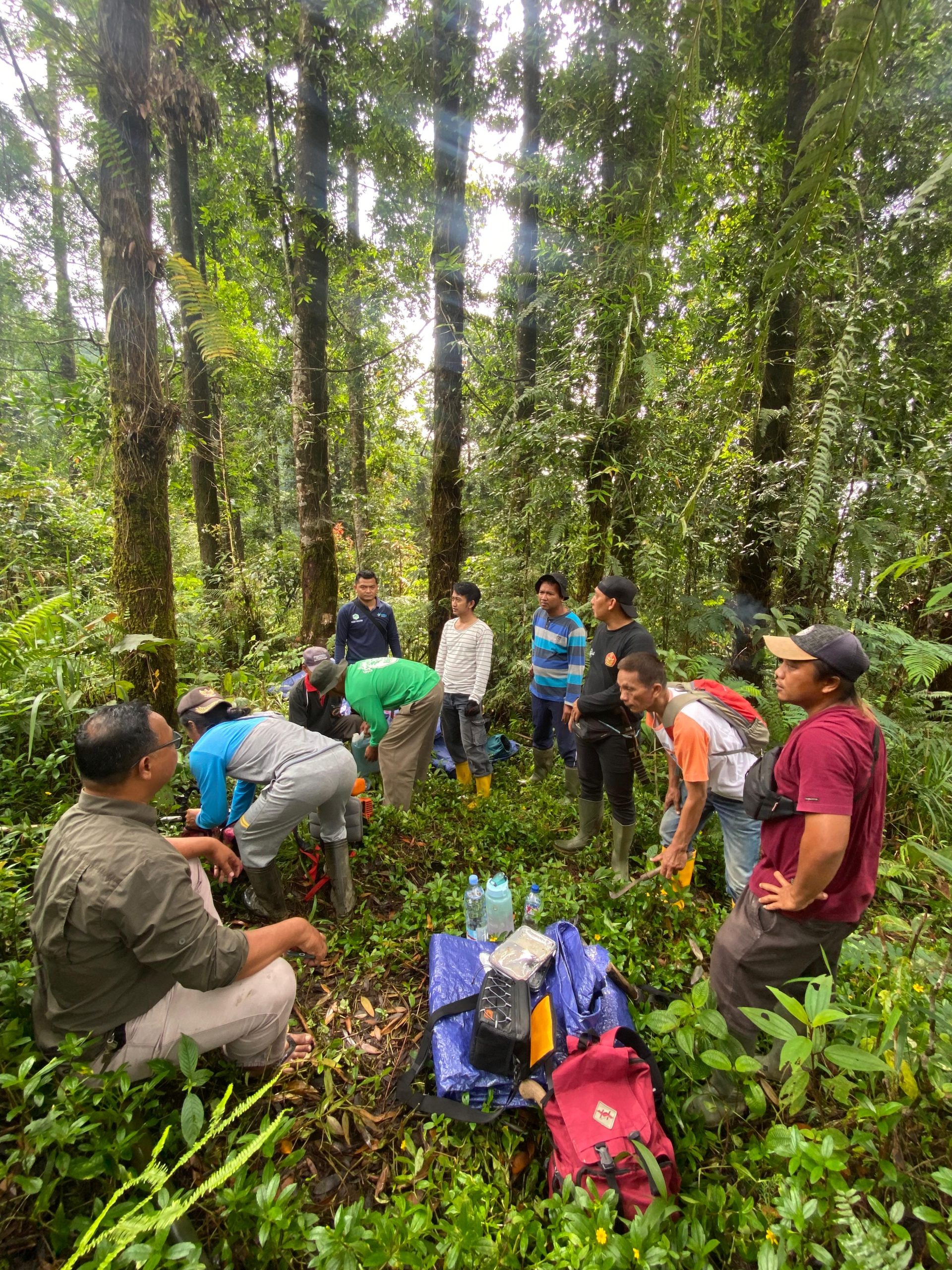Minggu Produktif : KUPS Wana Agro Lestari Lakukan Pembersihan dan Perawatan Kopi Hutan Desa Karangsalam Lor Minggu Produktif : KUPS Wana Agro Lestari Lakukan Pembersihan dan Perawatan Kopi Hutan Desa Karangsalam Lor